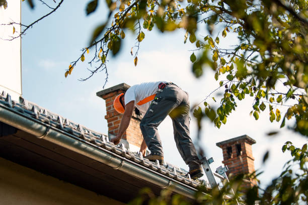 Best Roof Repair Services  in Mi Wuk Village, CA