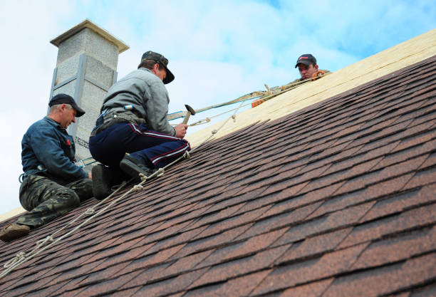 Best Metal Roofing Contractor  in Mi Wuk Village, CA